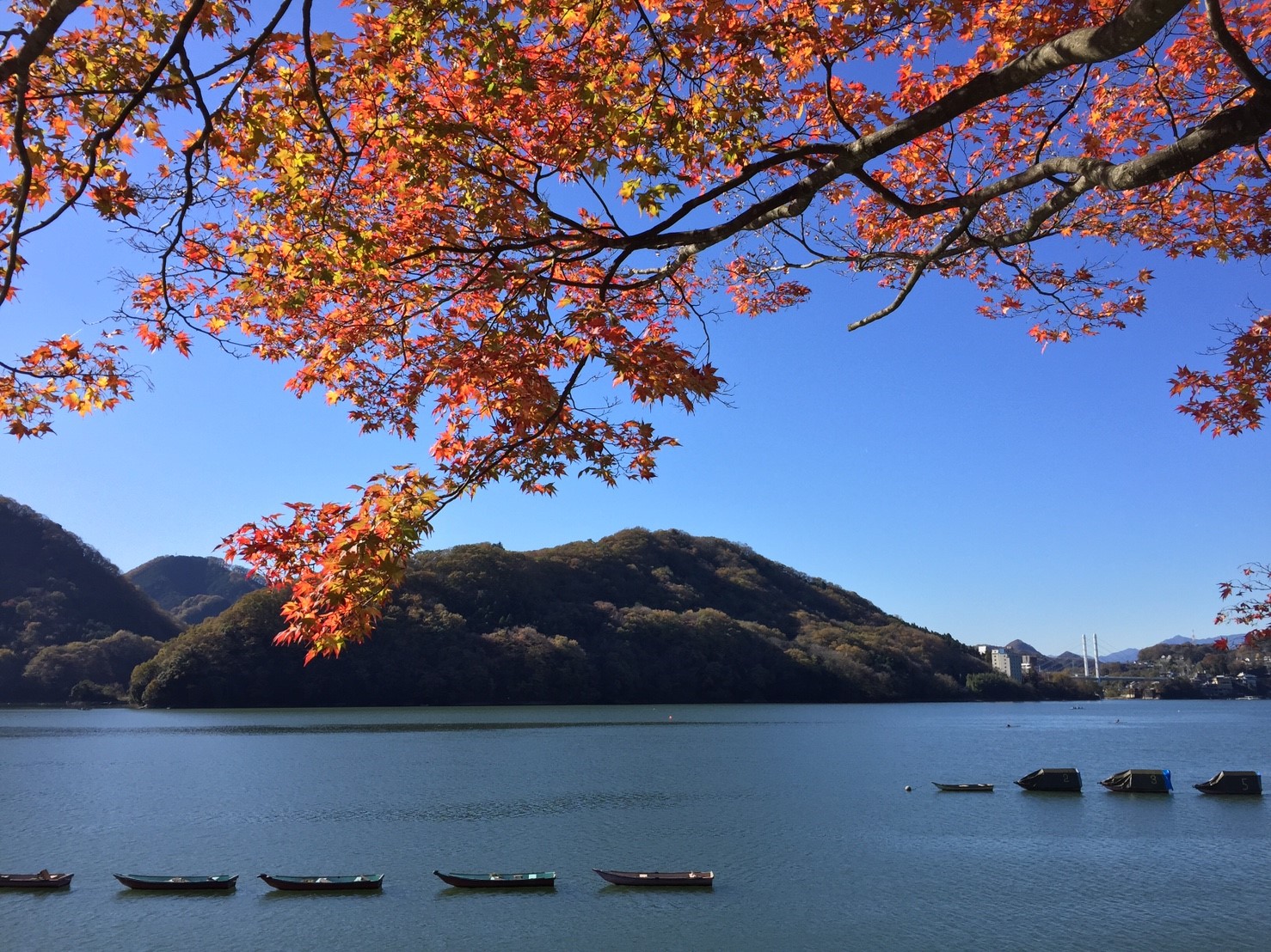 携帯から一部閲覧可。